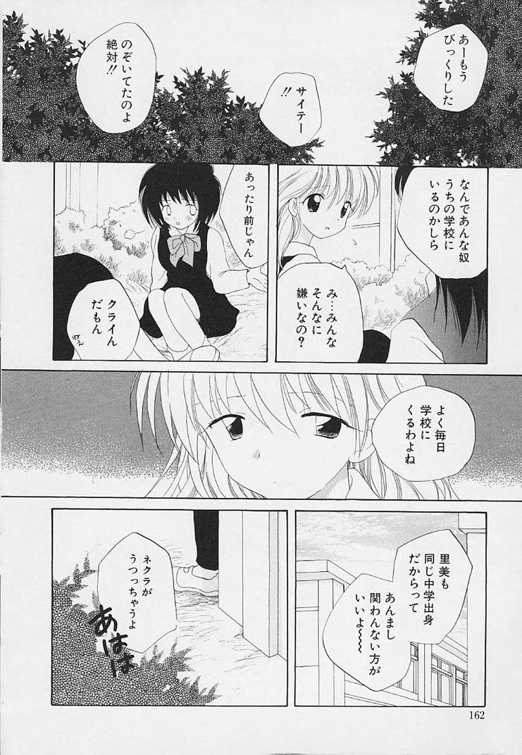 [星逢ひろ] 思春期の鼓動