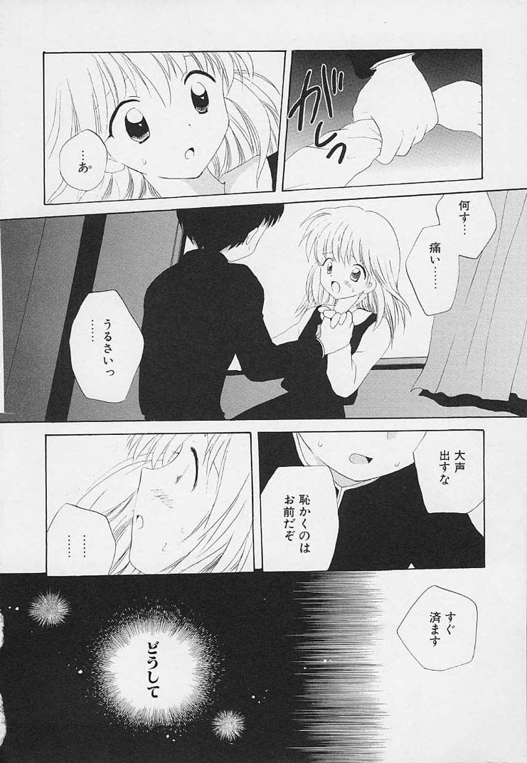 [星逢ひろ] 思春期の鼓動