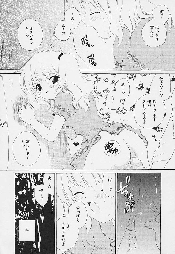 [星逢ひろ] 思春期の鼓動