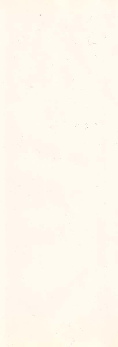 [石井隆] 天使のはらわた 第1部