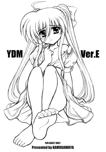 [鴨川屋 (鴨川たぬき)] YDM Ver.E (魔法少女リリカルなのは) [英訳]