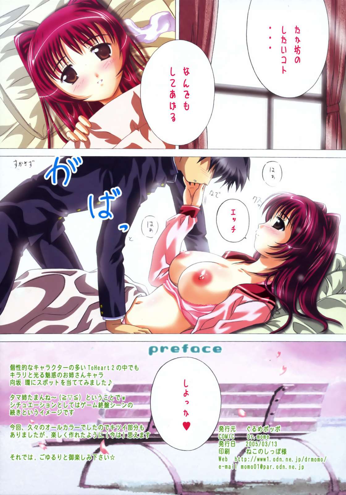 (サンクリ27) [ぐるめポッポ (毒桃)] タマノキモチ (トゥハート2)