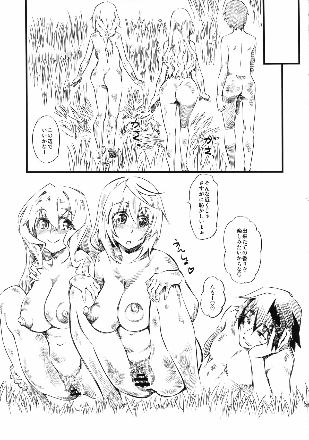 (C85) [ハイパーピンチ (clover)] N (IS＜インフィニット・ストラトス＞)