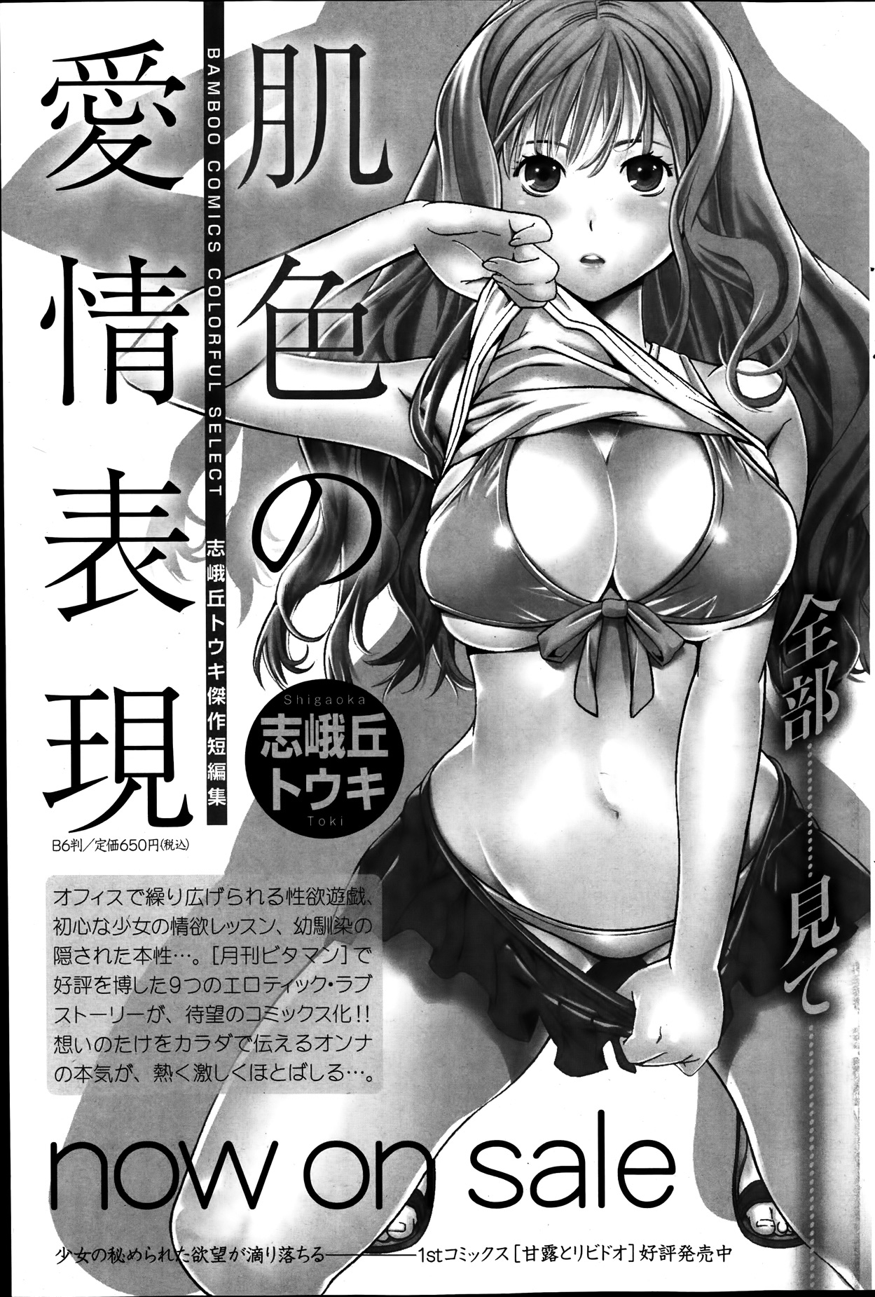 月刊 ビタマン 2014年1月号