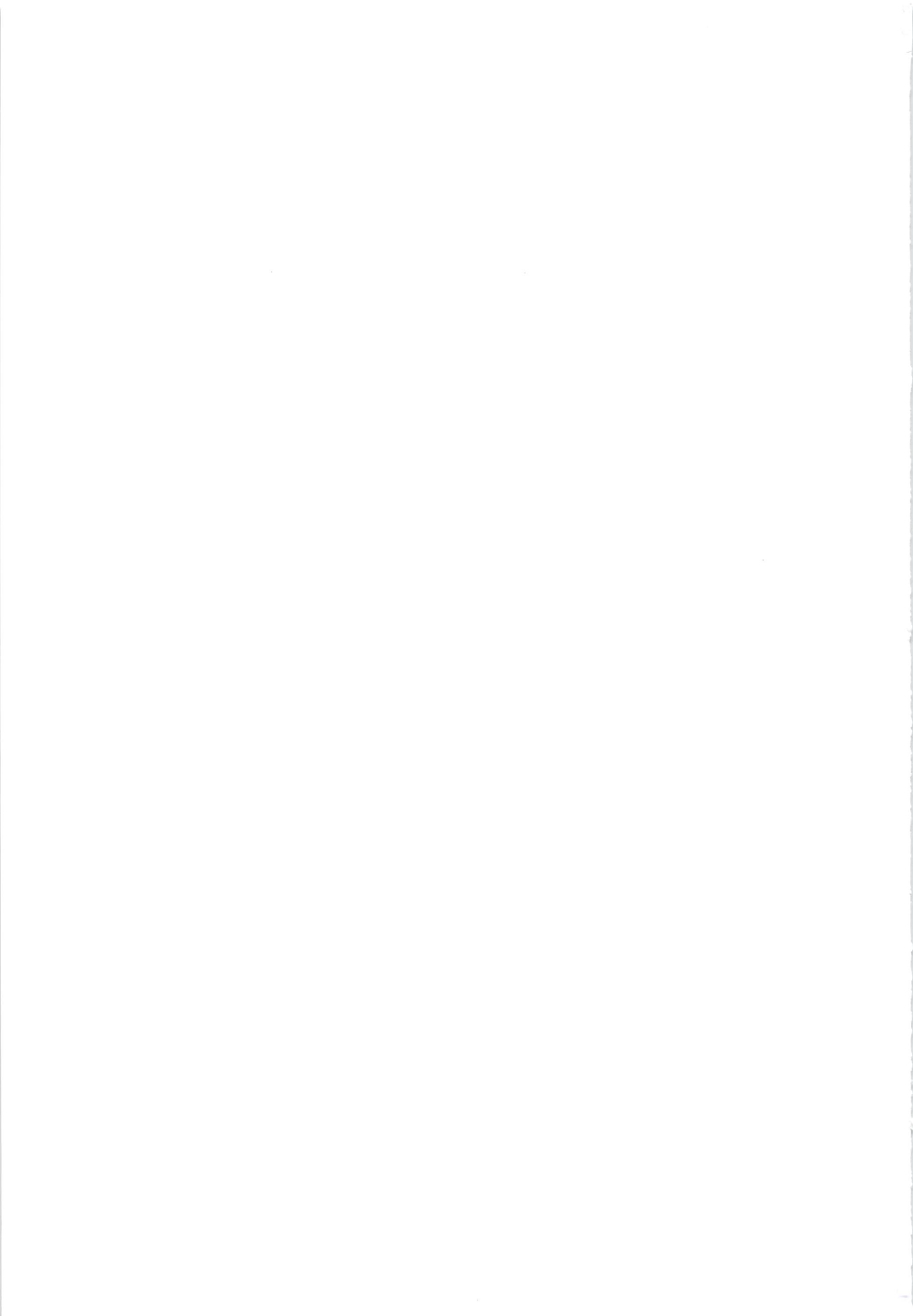 (C85) [BLACK DOG (黒犬獣)] MADE IN HEAVEN -JUPITER- (美少女戦士セーラームーン)