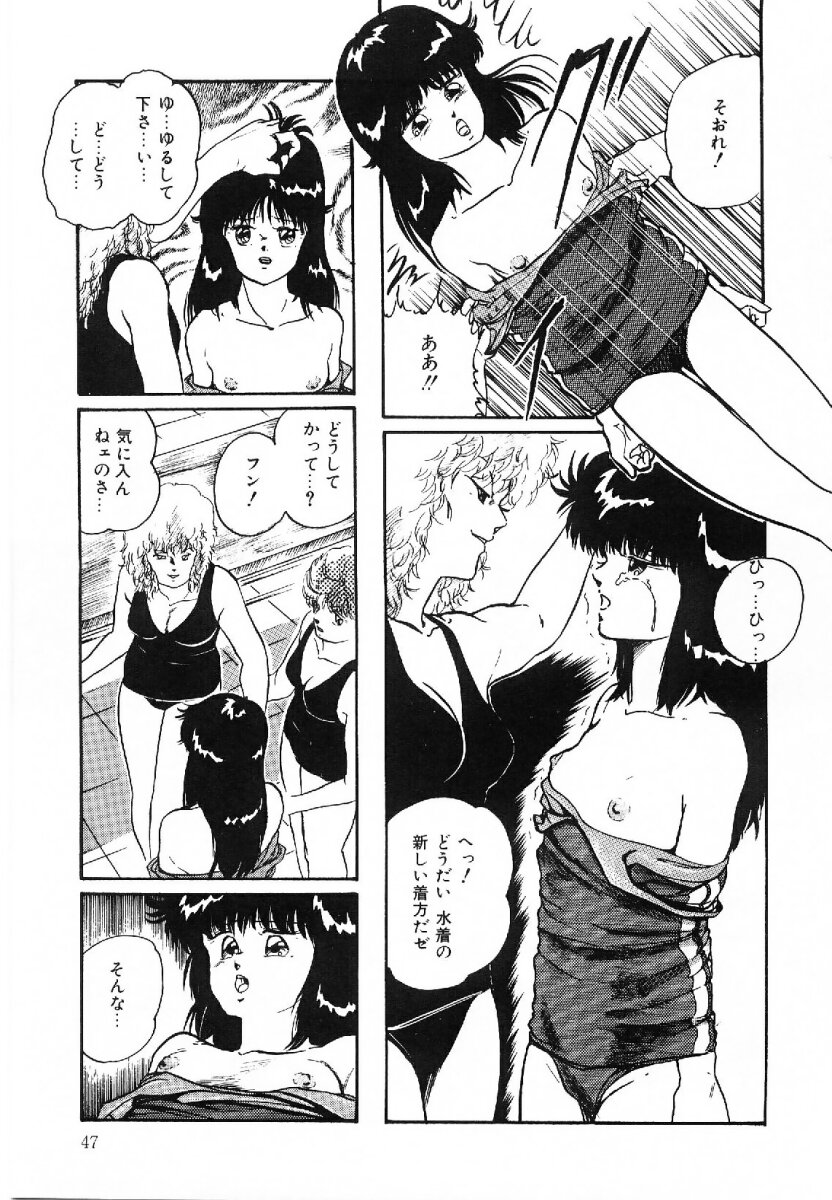 [上総志摩] コットンハウスの夢物語