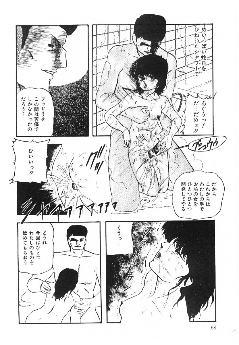 [上総志摩] コットンハウスの夢物語