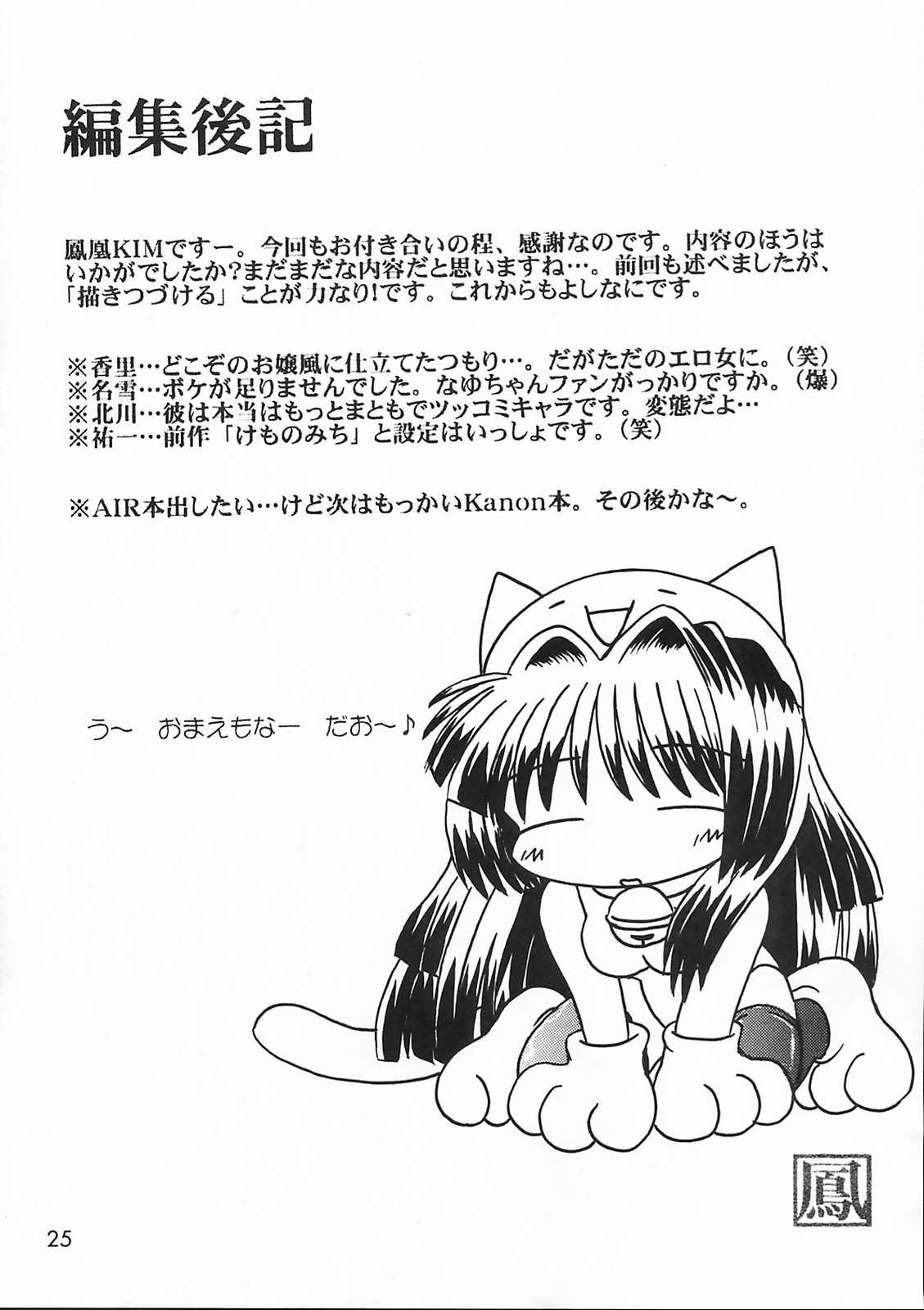 [SOUL COMPANY (鳳凰KIM)] 美坂チーム The Team Misaka (カノン)