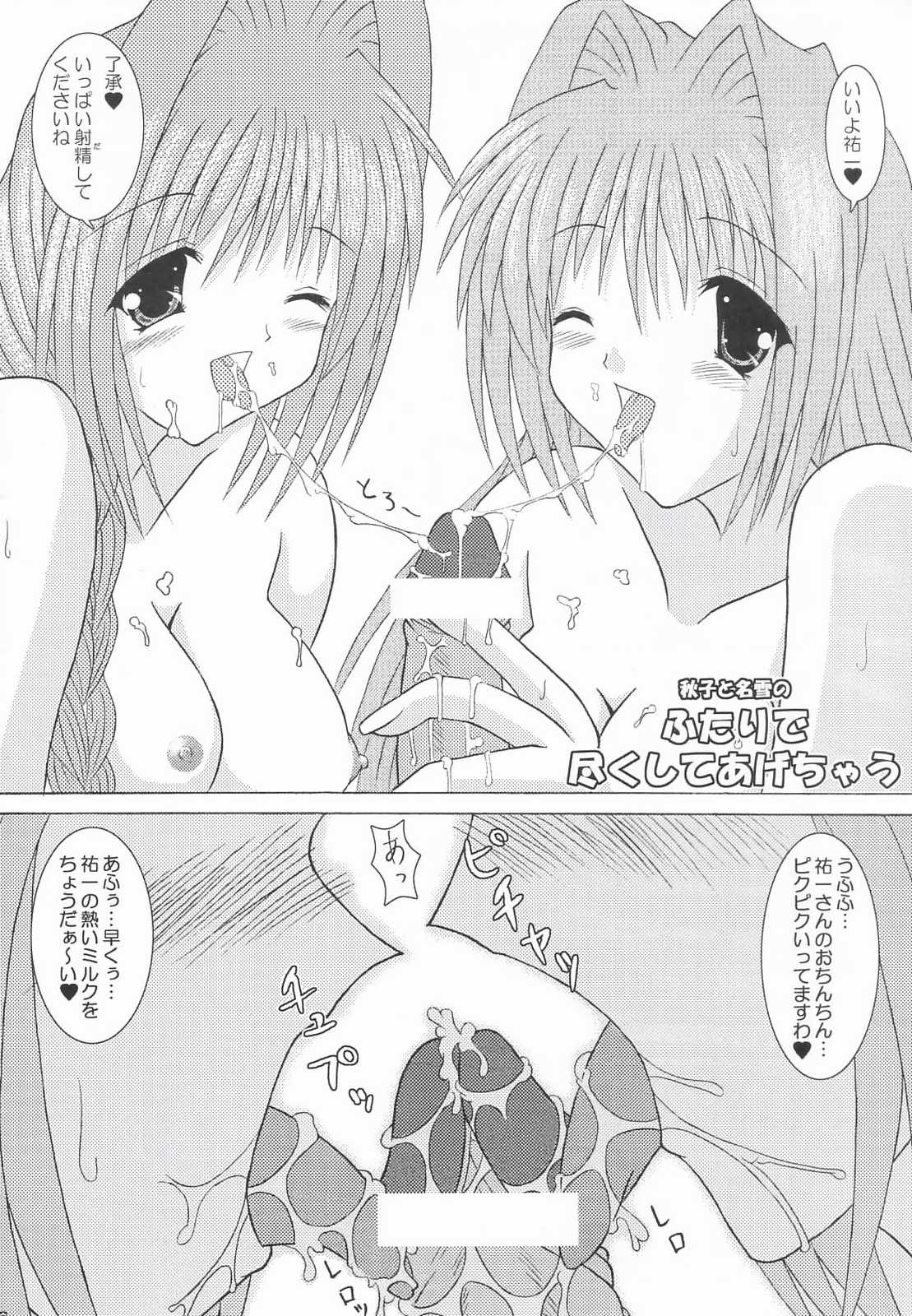 (サンクリ20) [紀霊なお姉さん (和泉弥生)] 了承２ (カノン)
