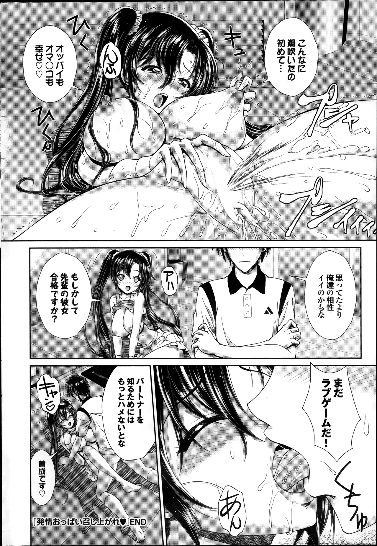 COMIC プルメロ 2014年1月号