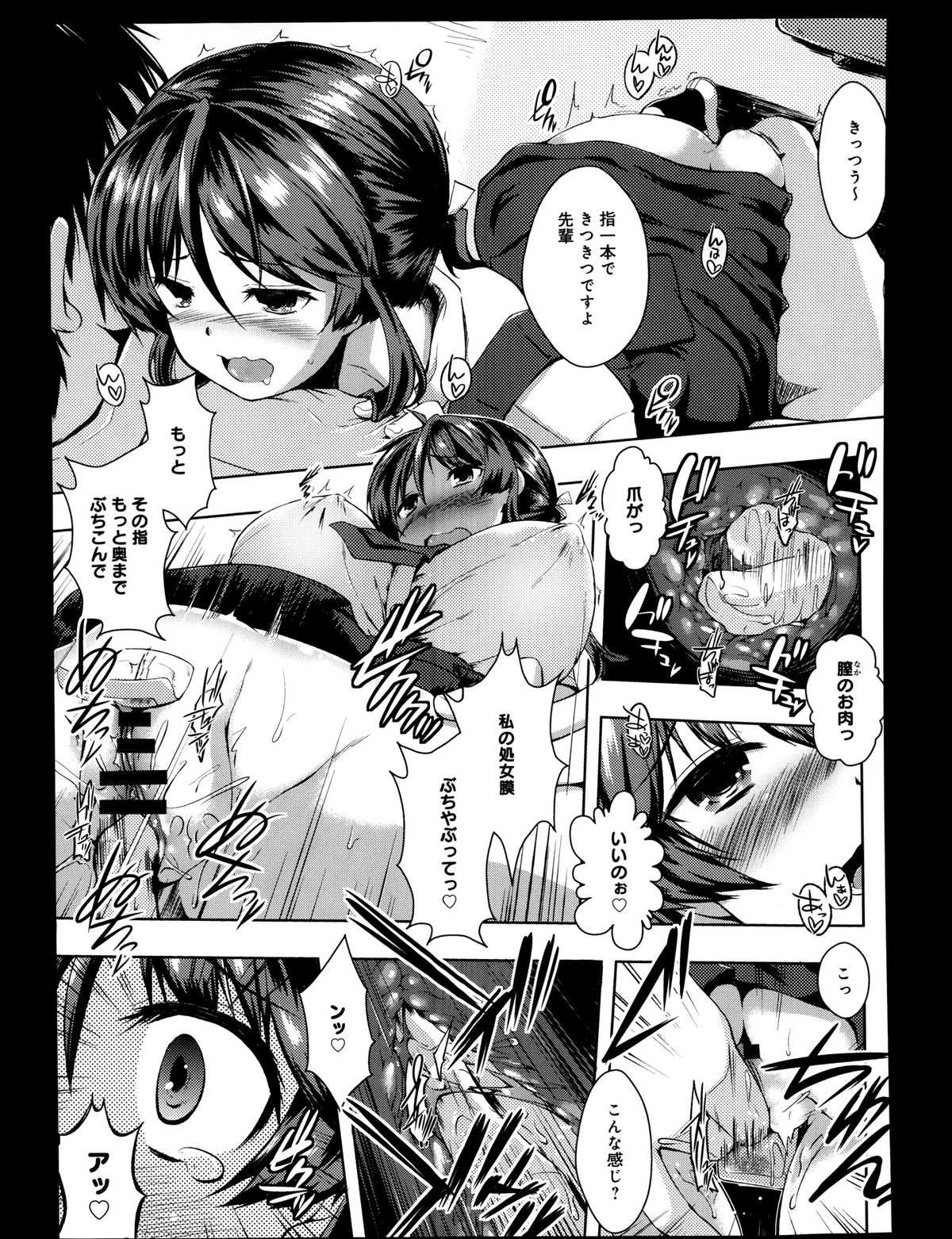 COMIC アンスリウム 008 2013年12月号