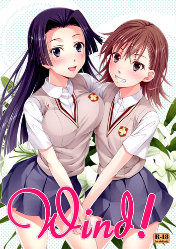 (C84) [百壱式 (椋木野一式)] Wind! (とある科学の超電磁砲) [英訳]