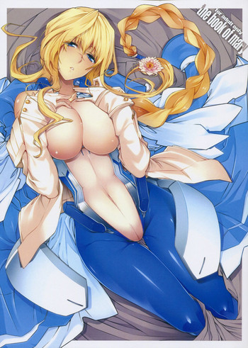 (C84) [孤独intelligence (ななお)] めありのほん (境界線上のホライゾン)