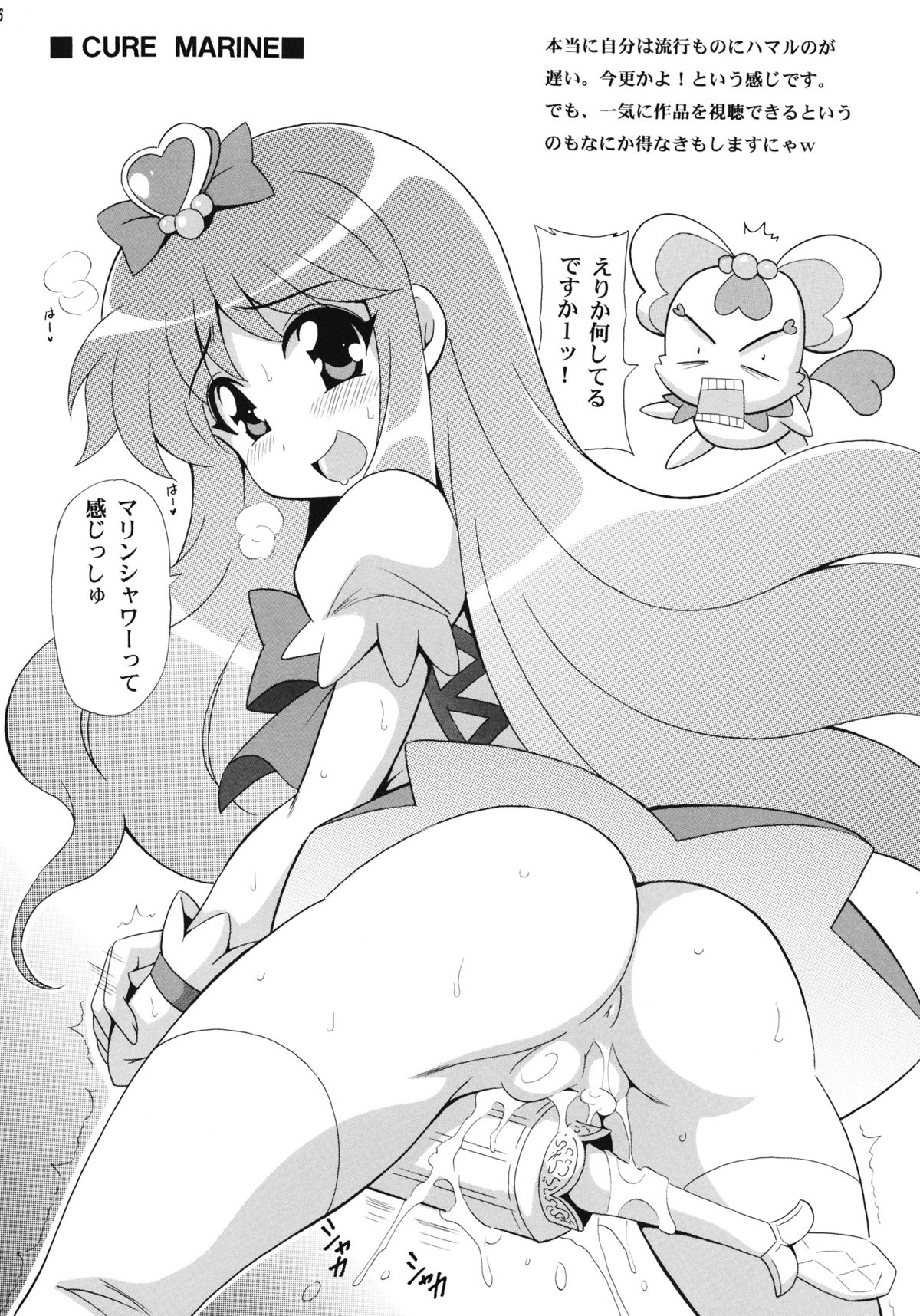 (サンクリ61) [りーず工房 (王者之風)] PRETTY (プリキュア)