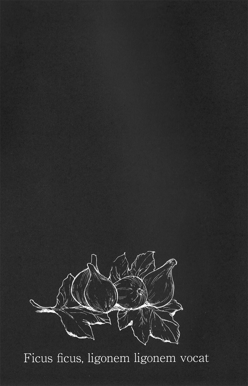 (FALL OF WALL Osaka) [おんじれ (たみー)] Ficus 2 (進撃の巨人)