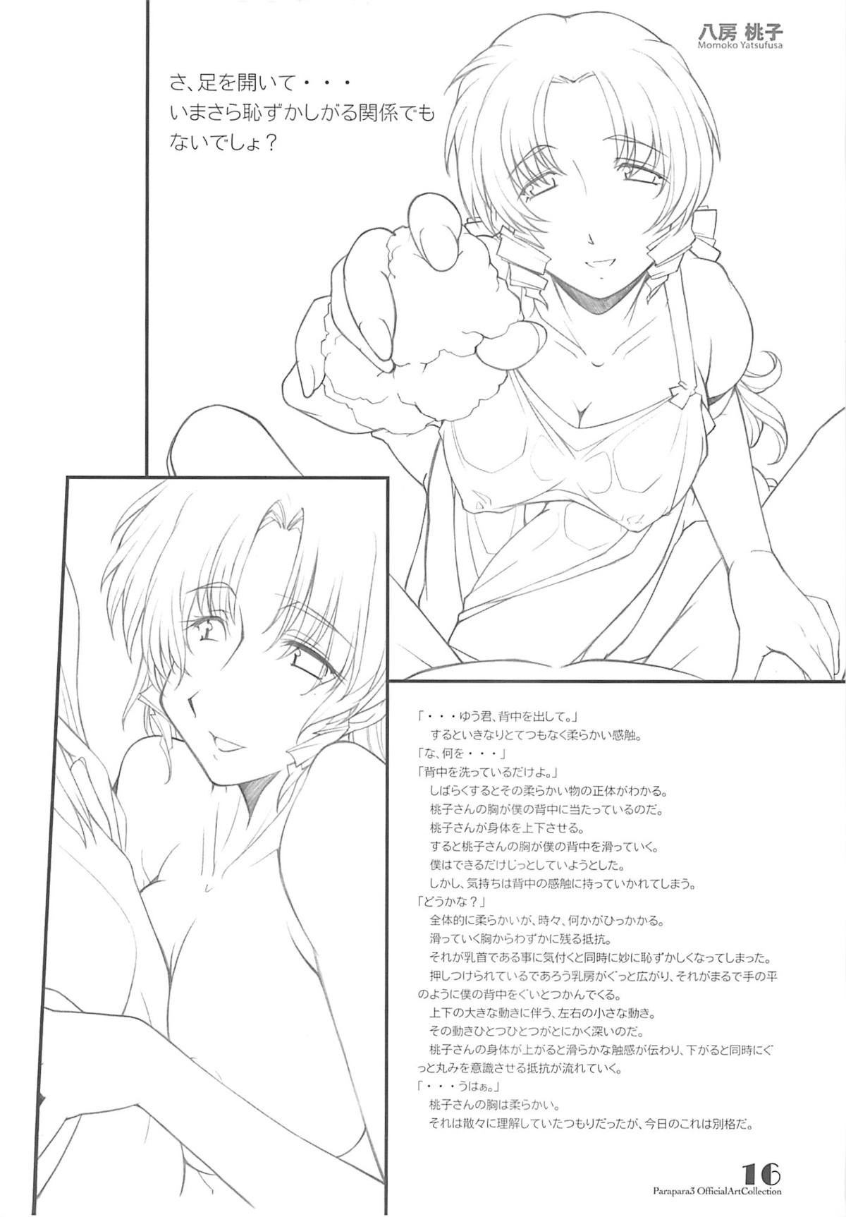 (C69) [まるあらい (新井和崎)] PARA PARA 3 MARUARAI OFFICIAL ART COLLECTION (ぱらパラ3)