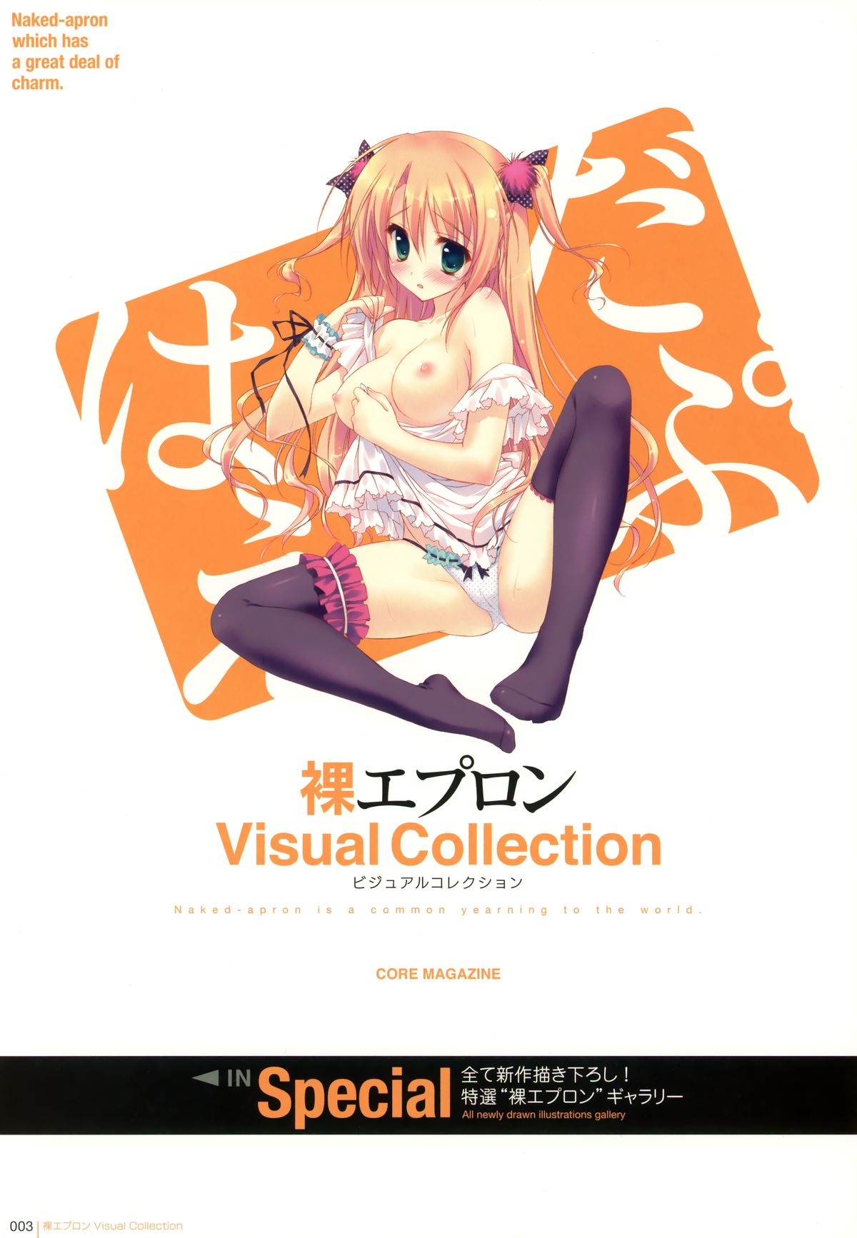 裸エプロンVisual Collection