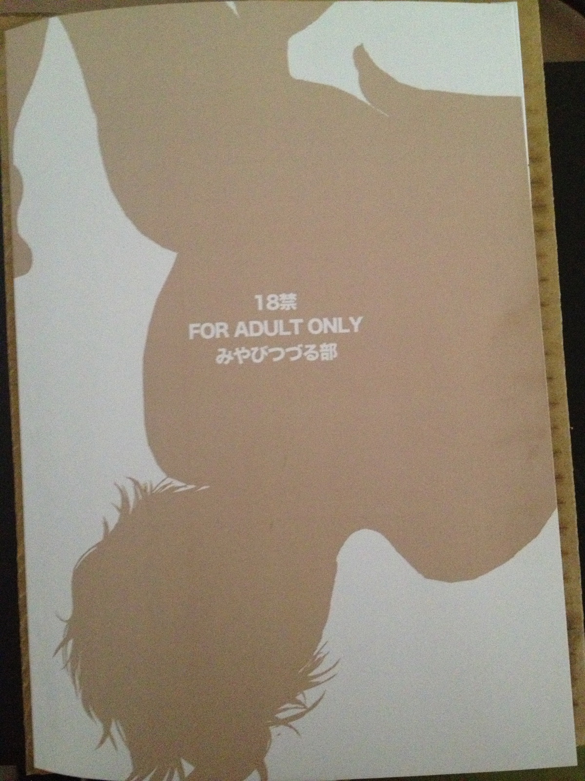 (C84) [みやびつづる部 (みやびつづる)] 眠り母 2