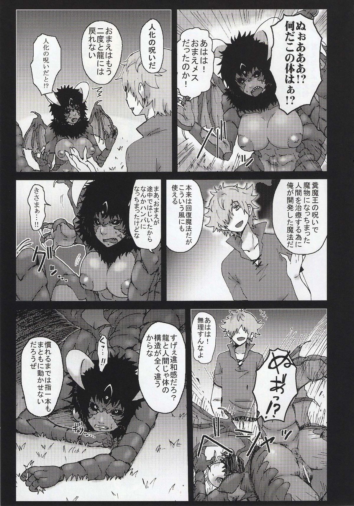 (コミティア104) [百鬼夜行 (よろず)] 百鬼夜行 Lv.2 Lizerds