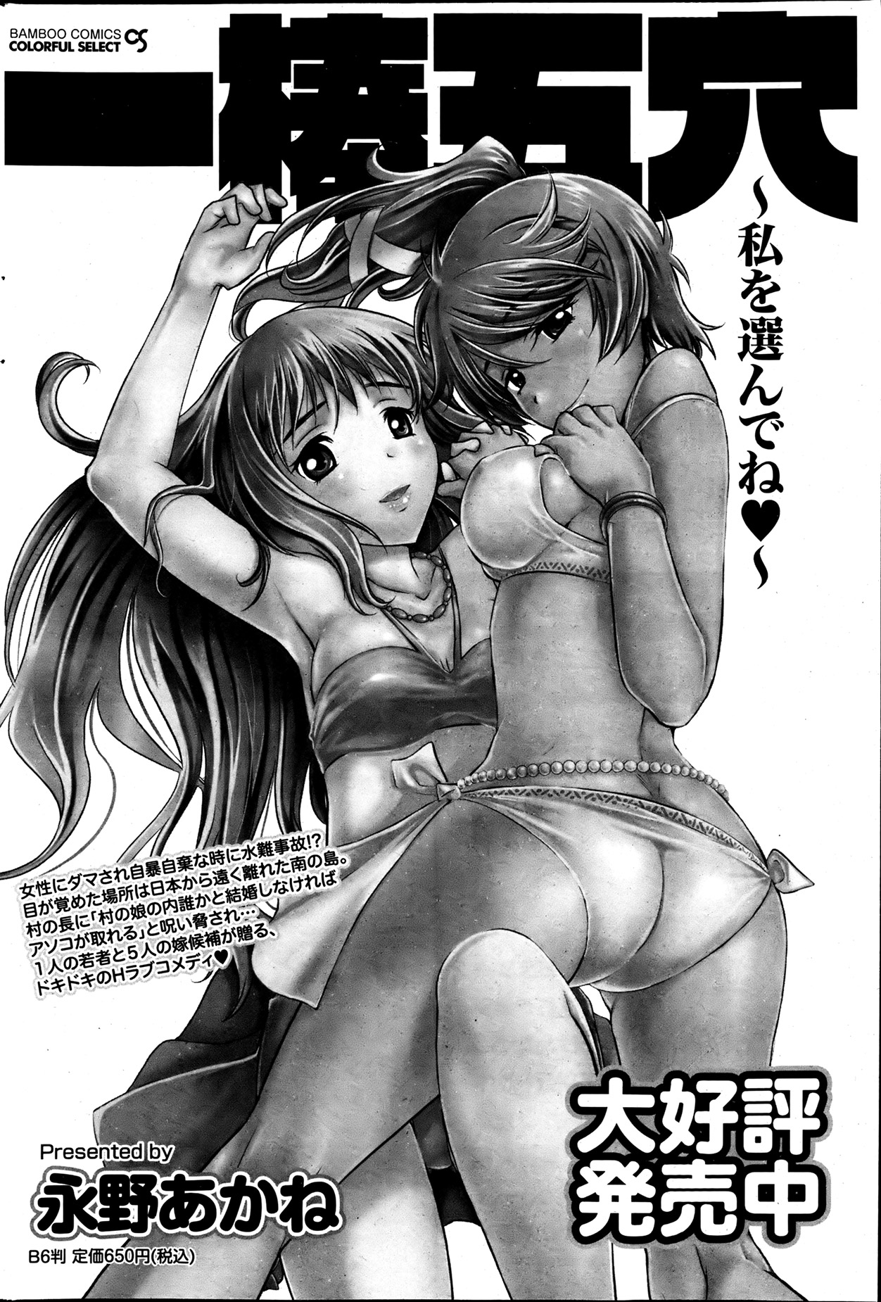 月刊 ビタマン 2013年7月号