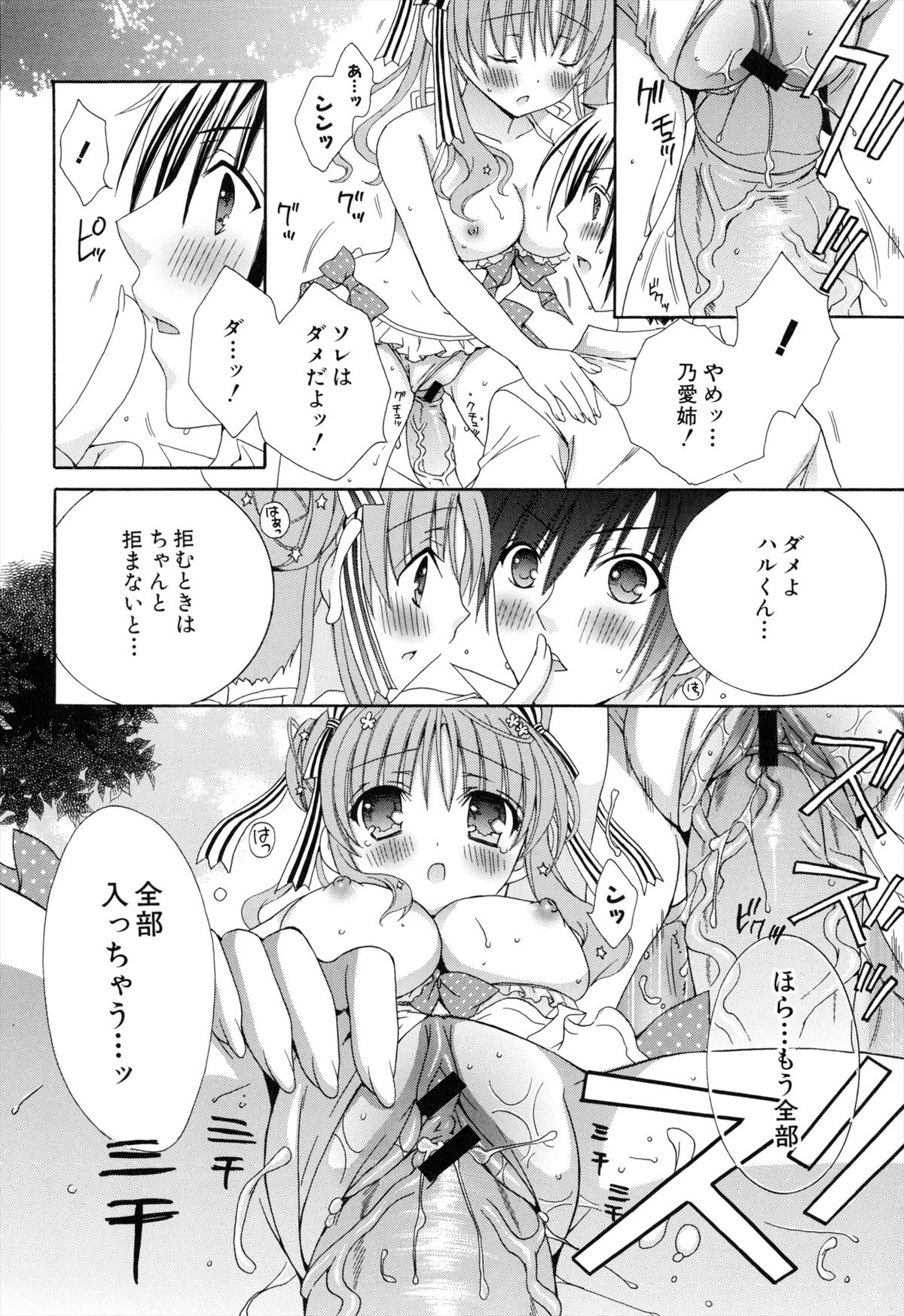 [RINRIN] 僕と姉と妹と