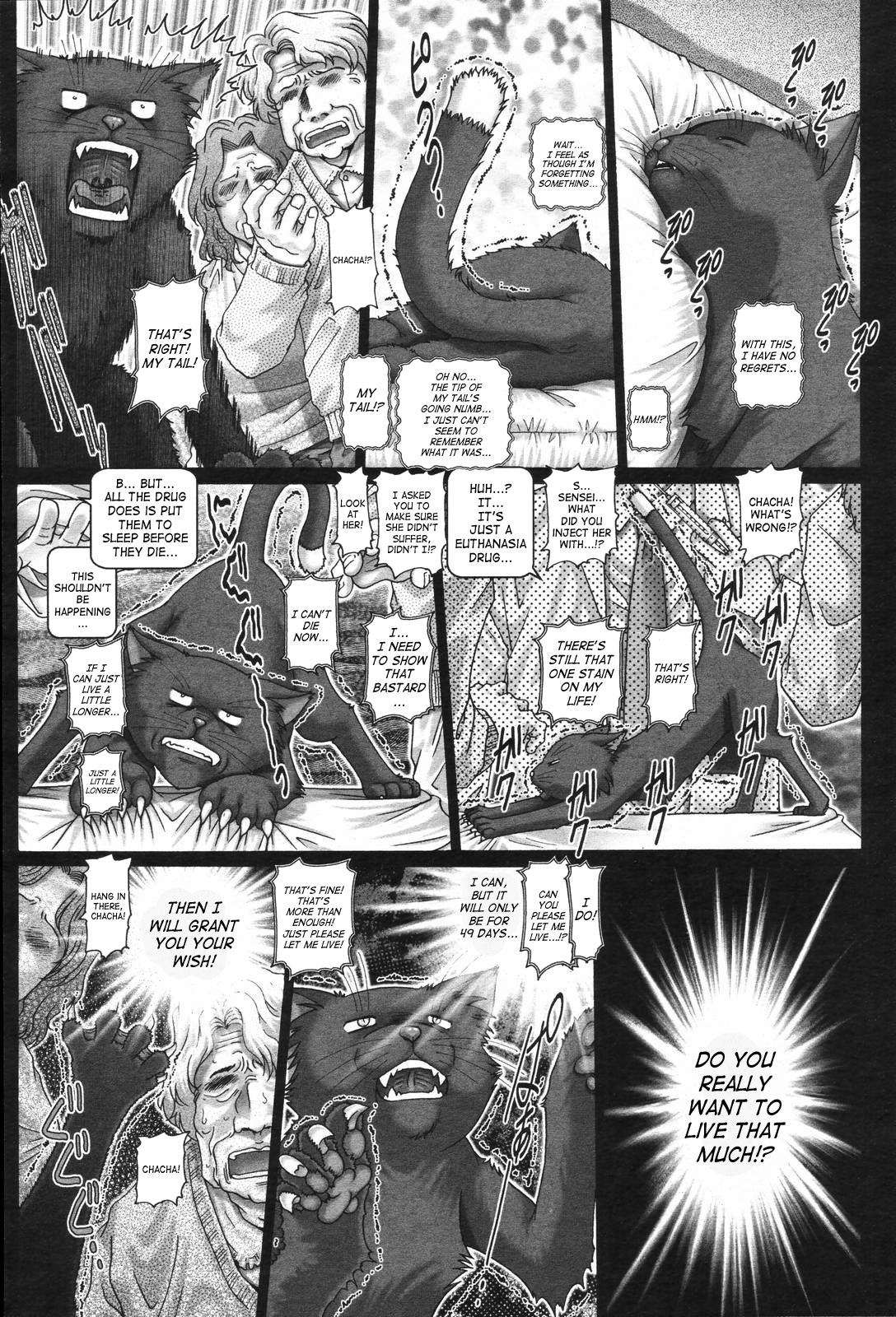 [TYPE.90] またたびパニック [英訳]