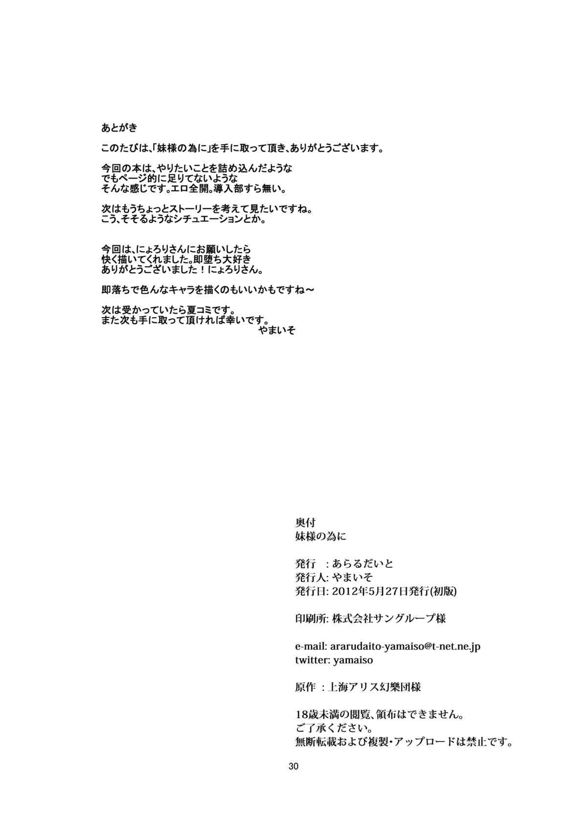 [あらるだいと (やまいそ)] 妹様の為に (東方Project) [DL版]