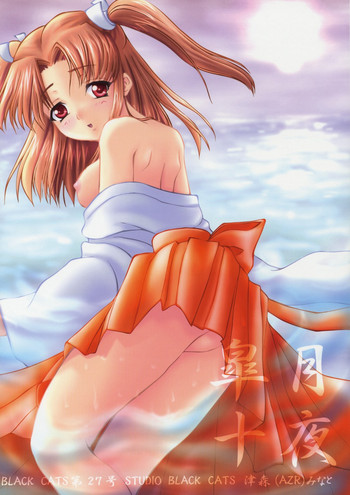 (Cレヴォ33) [STUDIO BLACK CATS (津森(AZR)みなと)] BLACK CATS第27号 皐月十夜 (月姫)