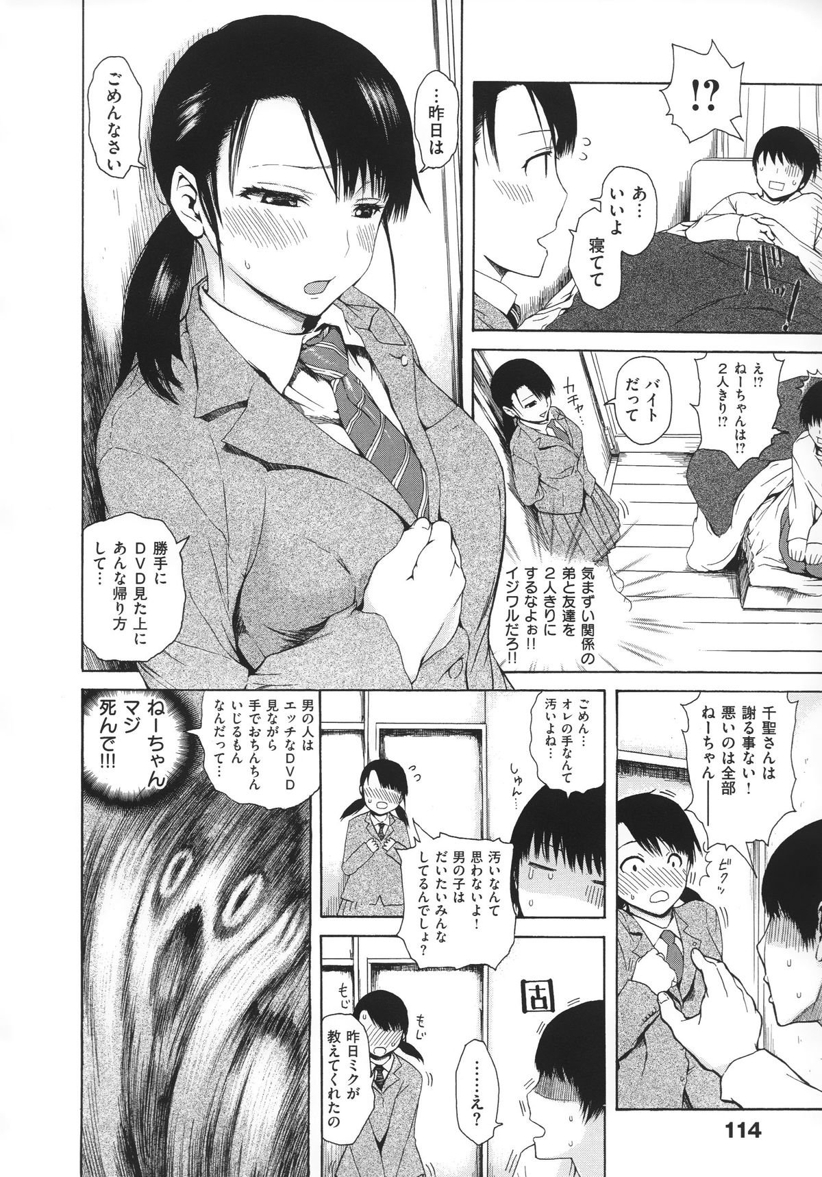 [石川シスケ] やりすぎめるへん