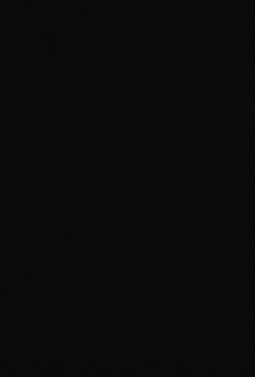 【ユシキ】SERG：ナイチンゲール（進撃の巨人）