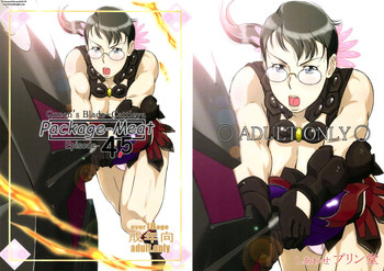 (C83) [しあわせプリン堂 (認六)] Package-Meat 4.5 (クイーンズブレイド)