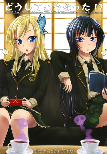 [8丁目のお花屋さん (門巻森乃介)] どうしてこうなった！？ (僕は友達が少ない) [DL版]