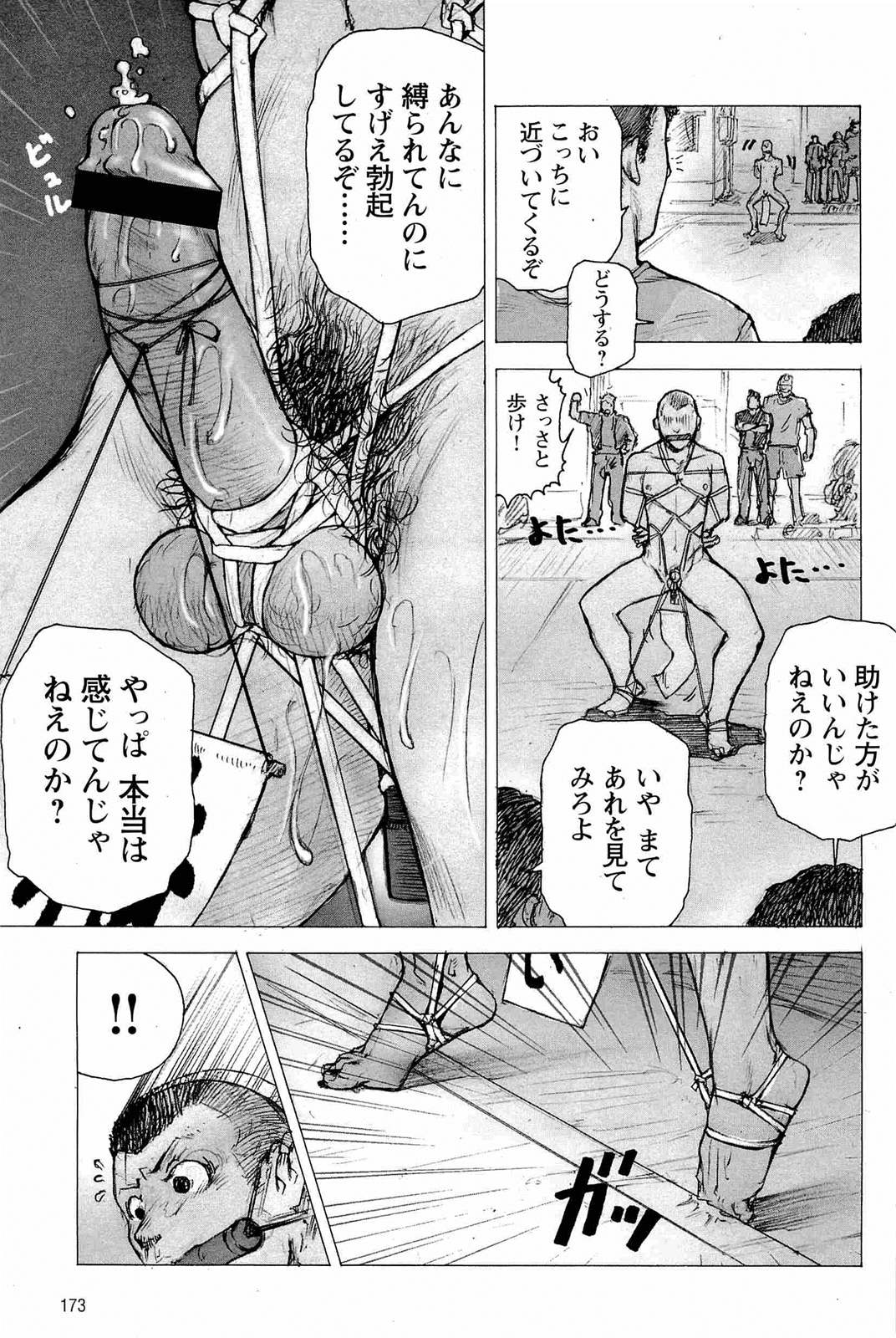 [櫂まこと] トレーニング・ドッグ