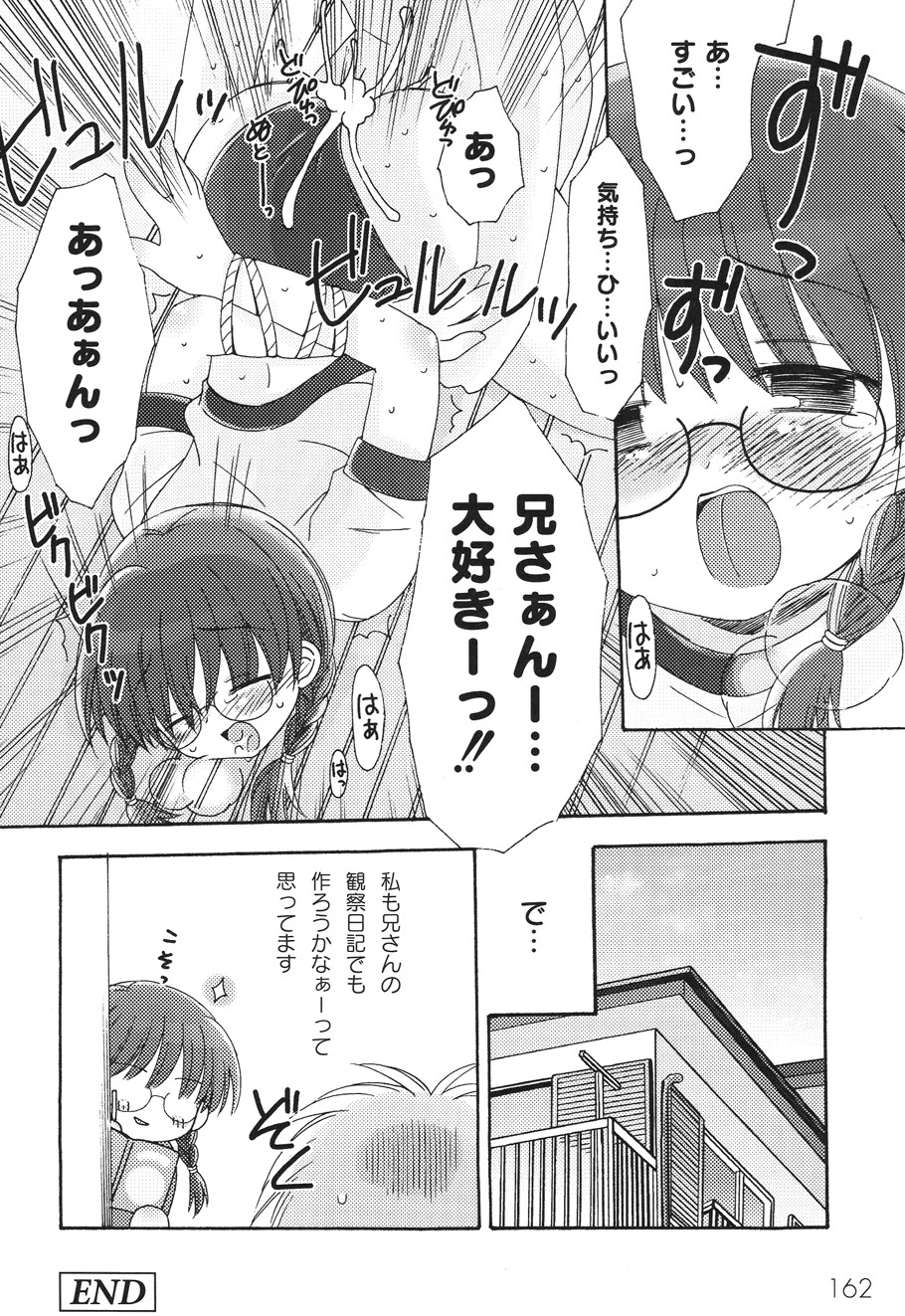 [ちんじゃおろおす] SchoolDays 2 [DL版]