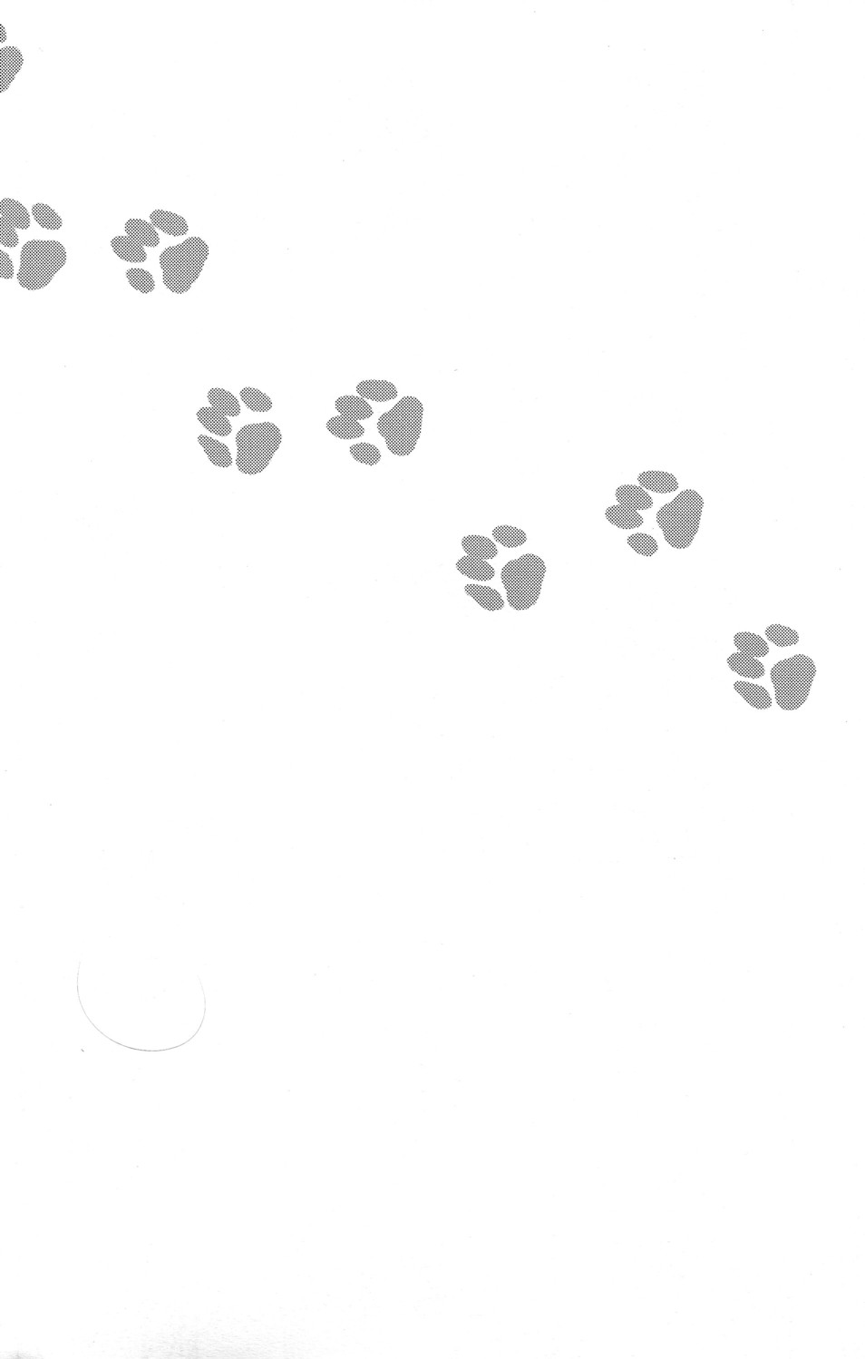【Sabawo_TransistorAngel（380）】103ごしつの猫