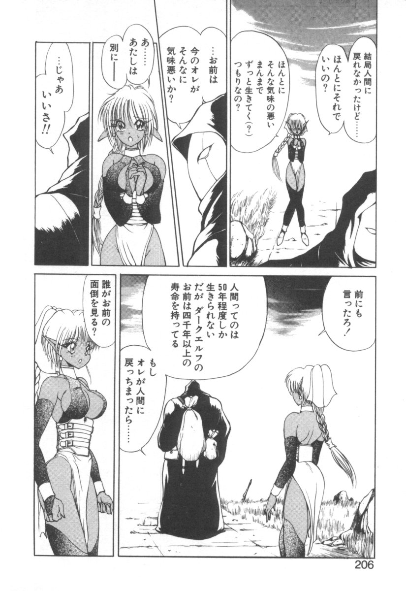 [藤咲真] DARK WIRBEL 混乱編
