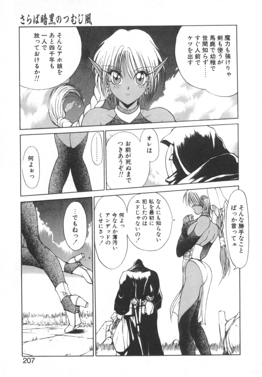 [藤咲真] DARK WIRBEL 混乱編