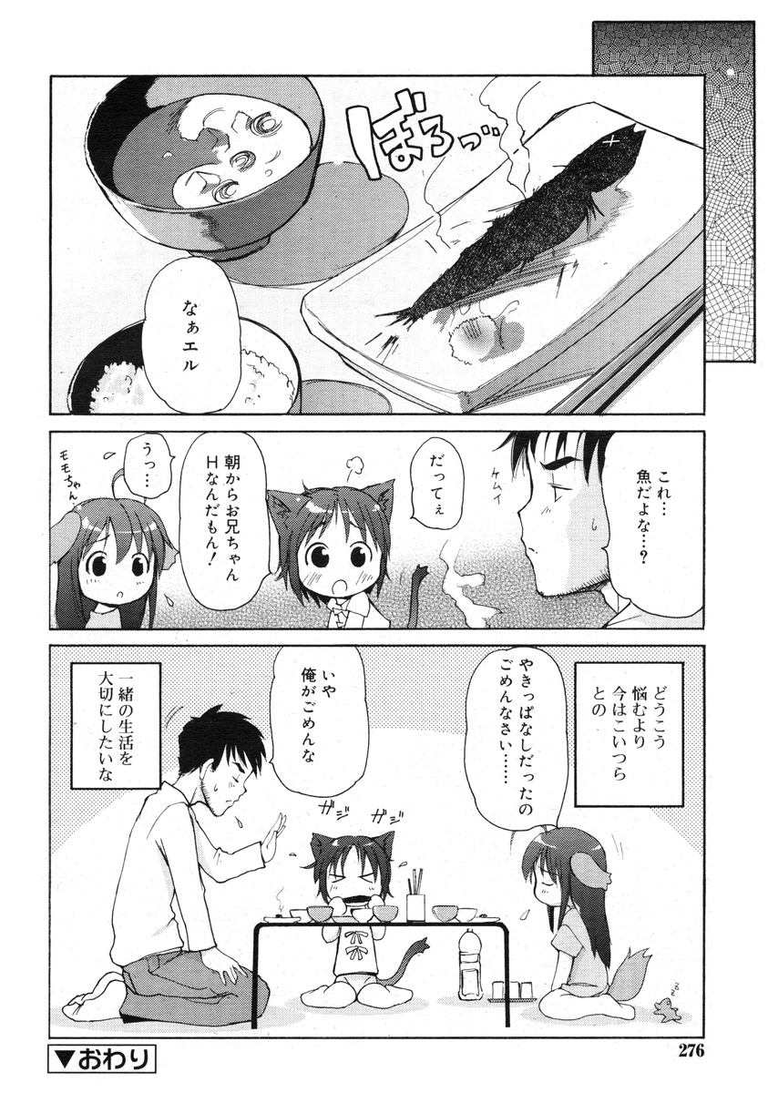 COMIC RiN 2005年1月号 Vol.1