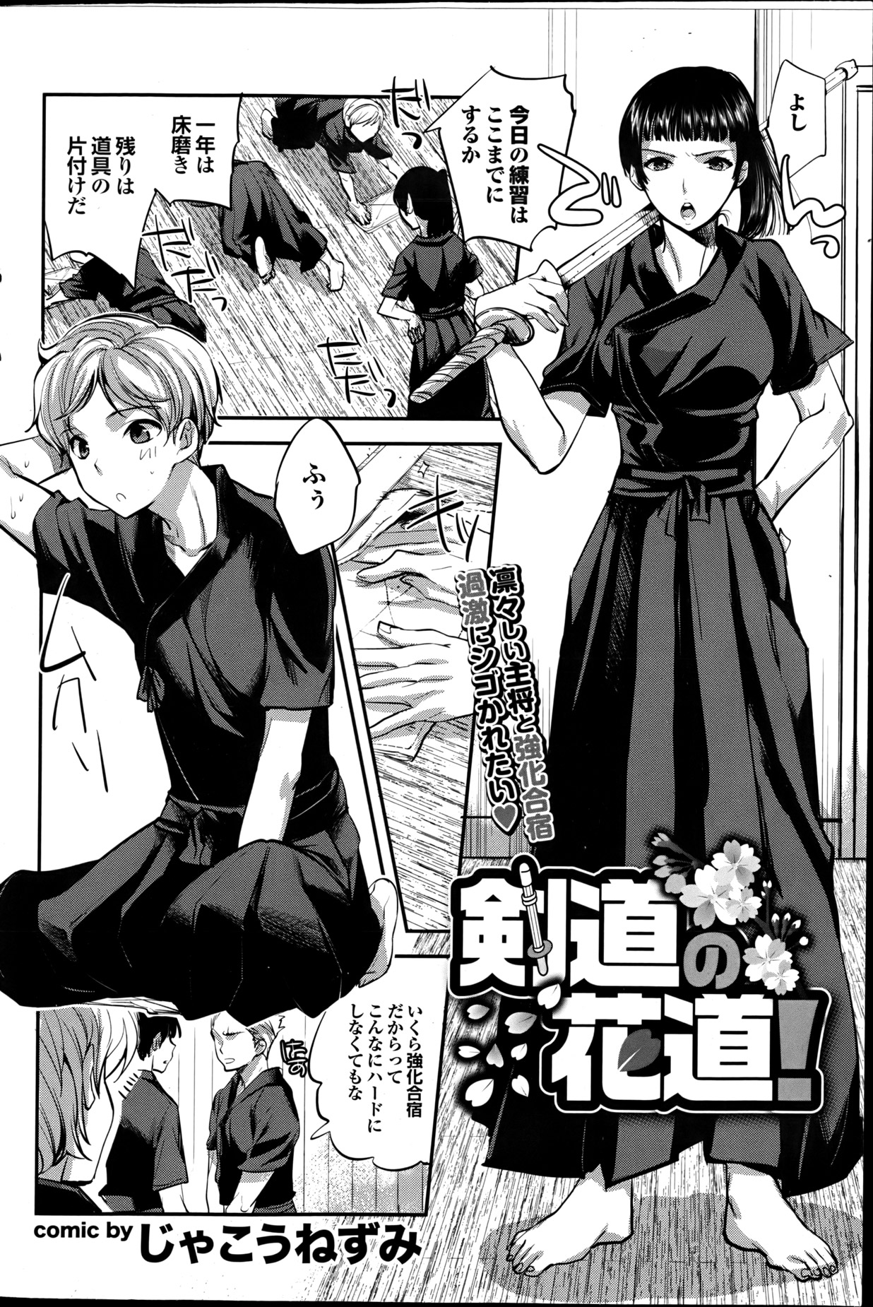 COMIC プルメロ 2013年6月号