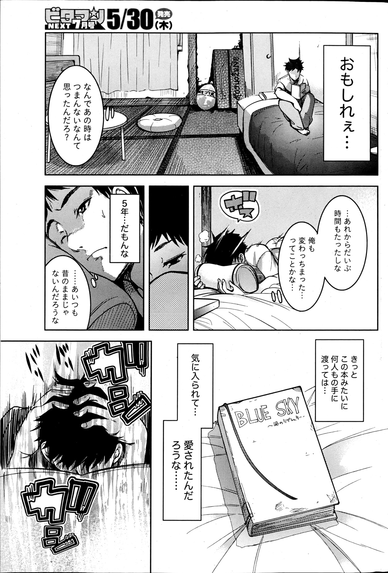 月刊 ビタマン 2013年6月号