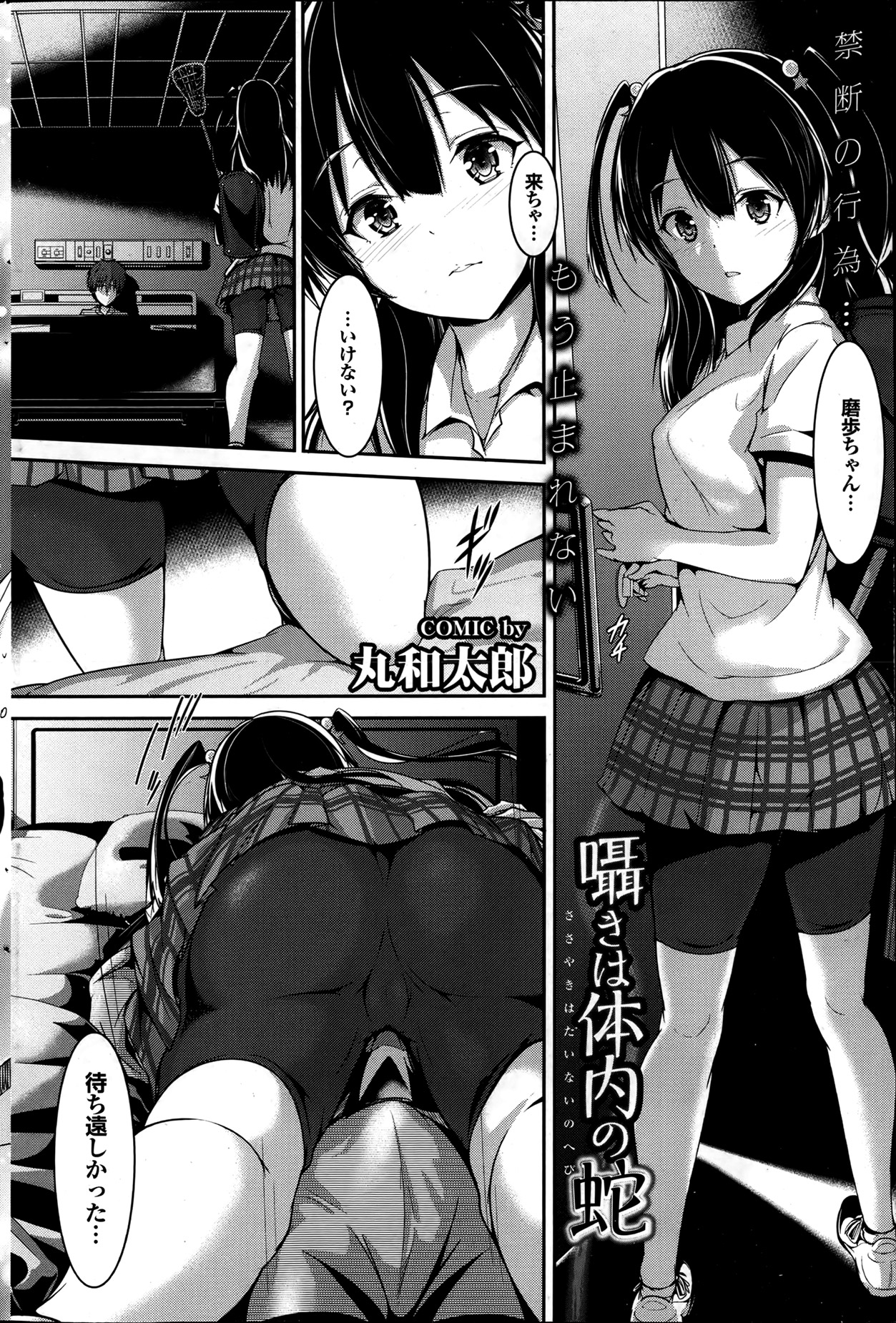 COMIC プルメロ 2013年7月号