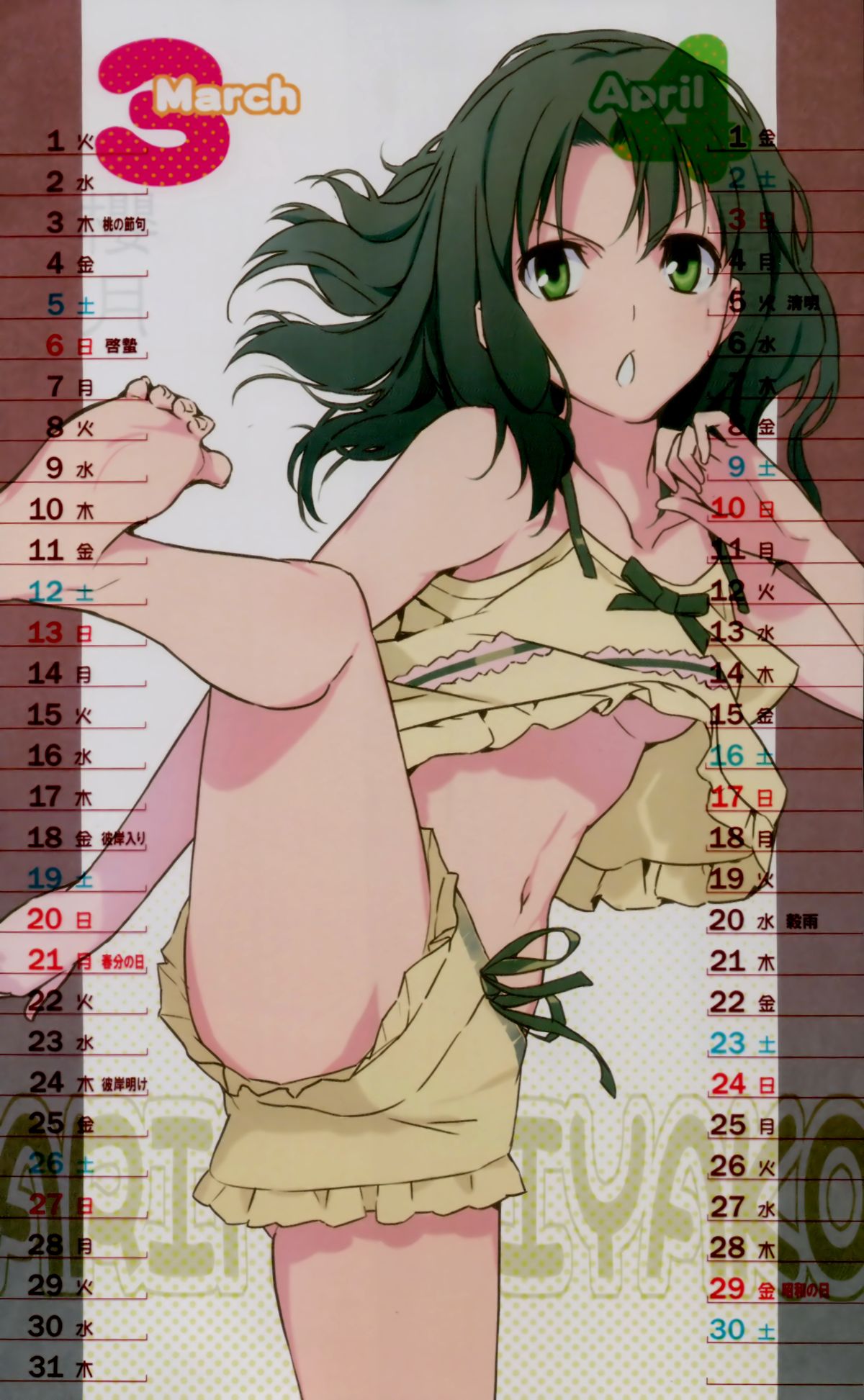 森井さんとこの2011TYPE-MOONCALENDAR