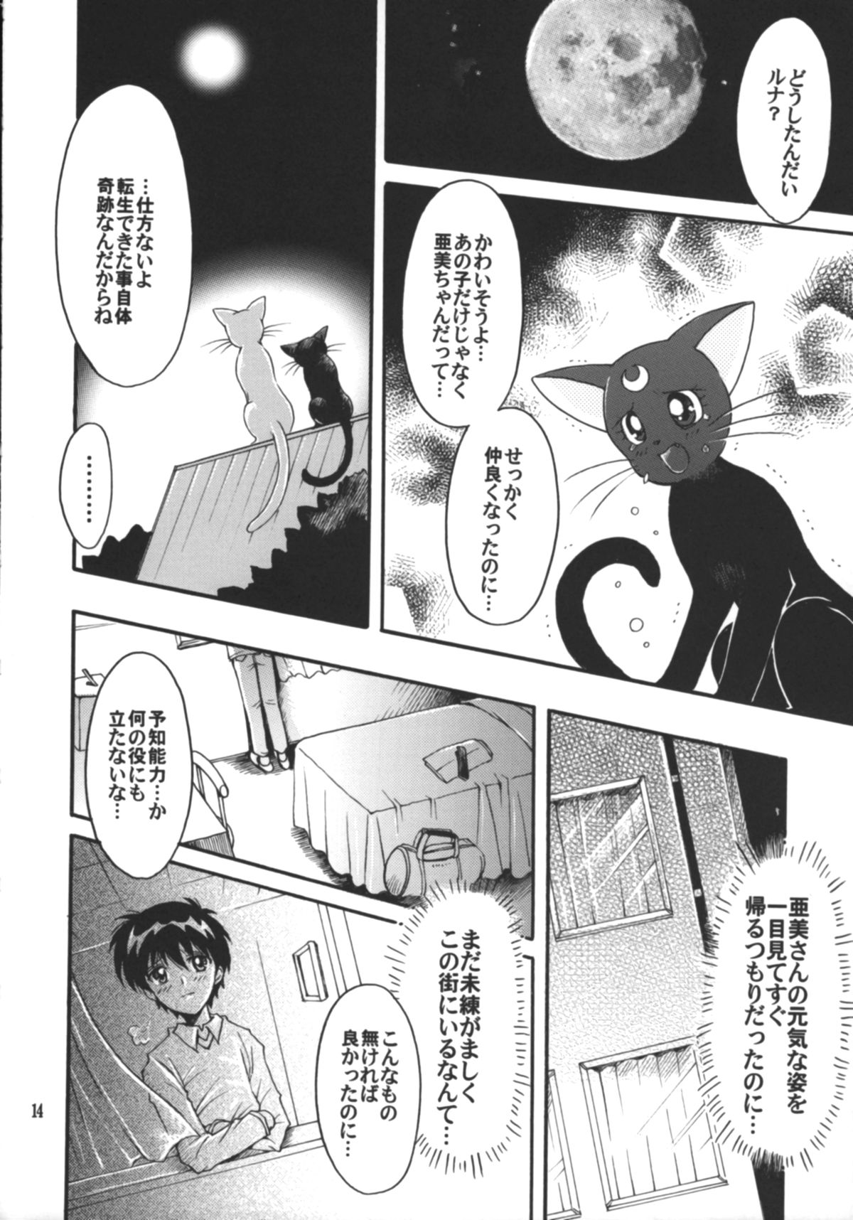 (C75) [小鳥事務所 (桜文鳥)] 始まりの終わり、終わりの始まり (美少女戦士セーラームーン)