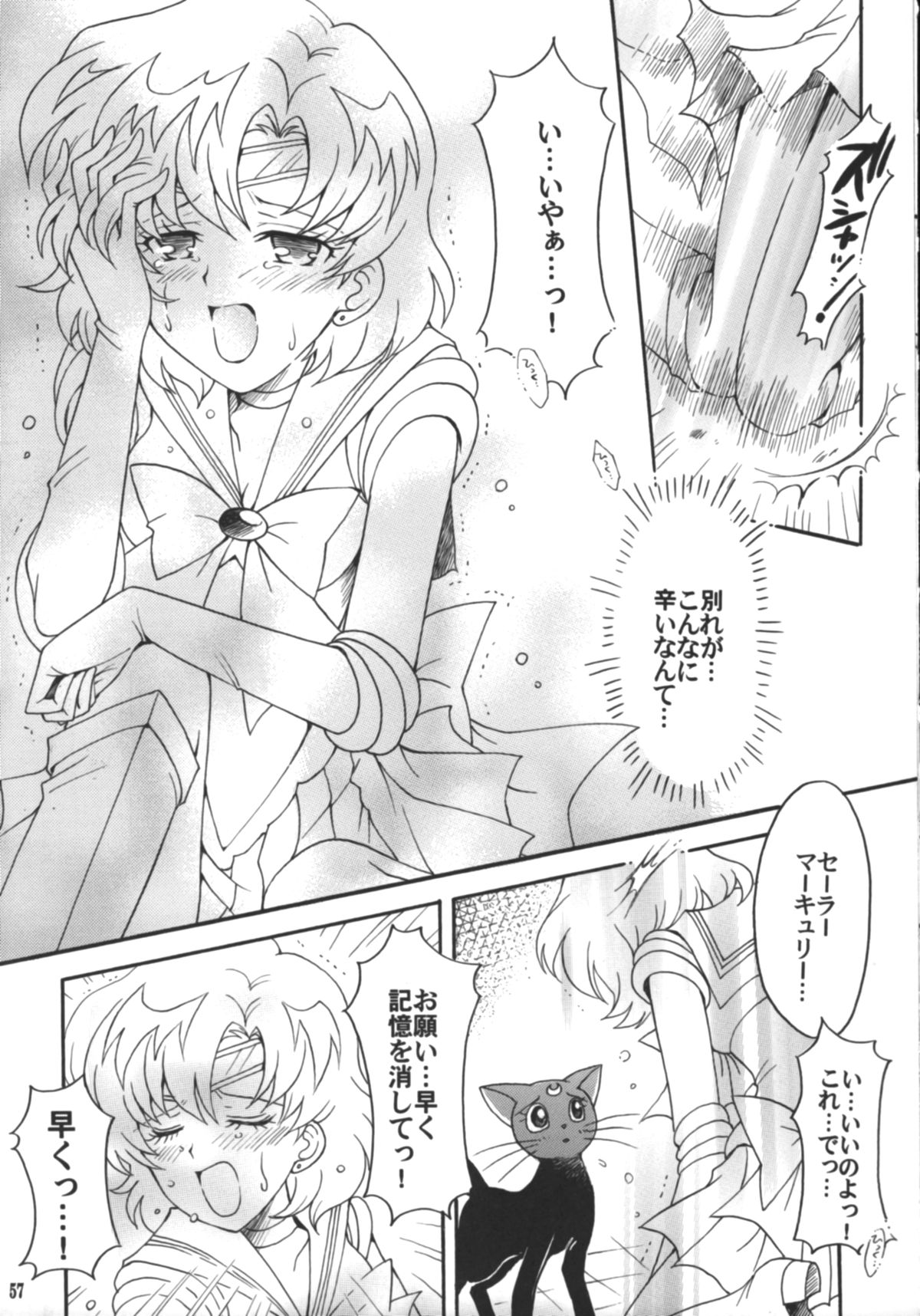 (C75) [小鳥事務所 (桜文鳥)] 始まりの終わり、終わりの始まり (美少女戦士セーラームーン)