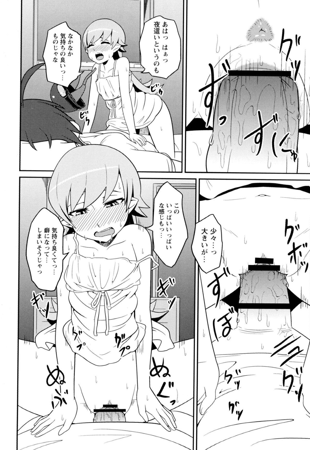 [リスペクト (秋乃長雨)] Dream of one day (化物語) [DL版]