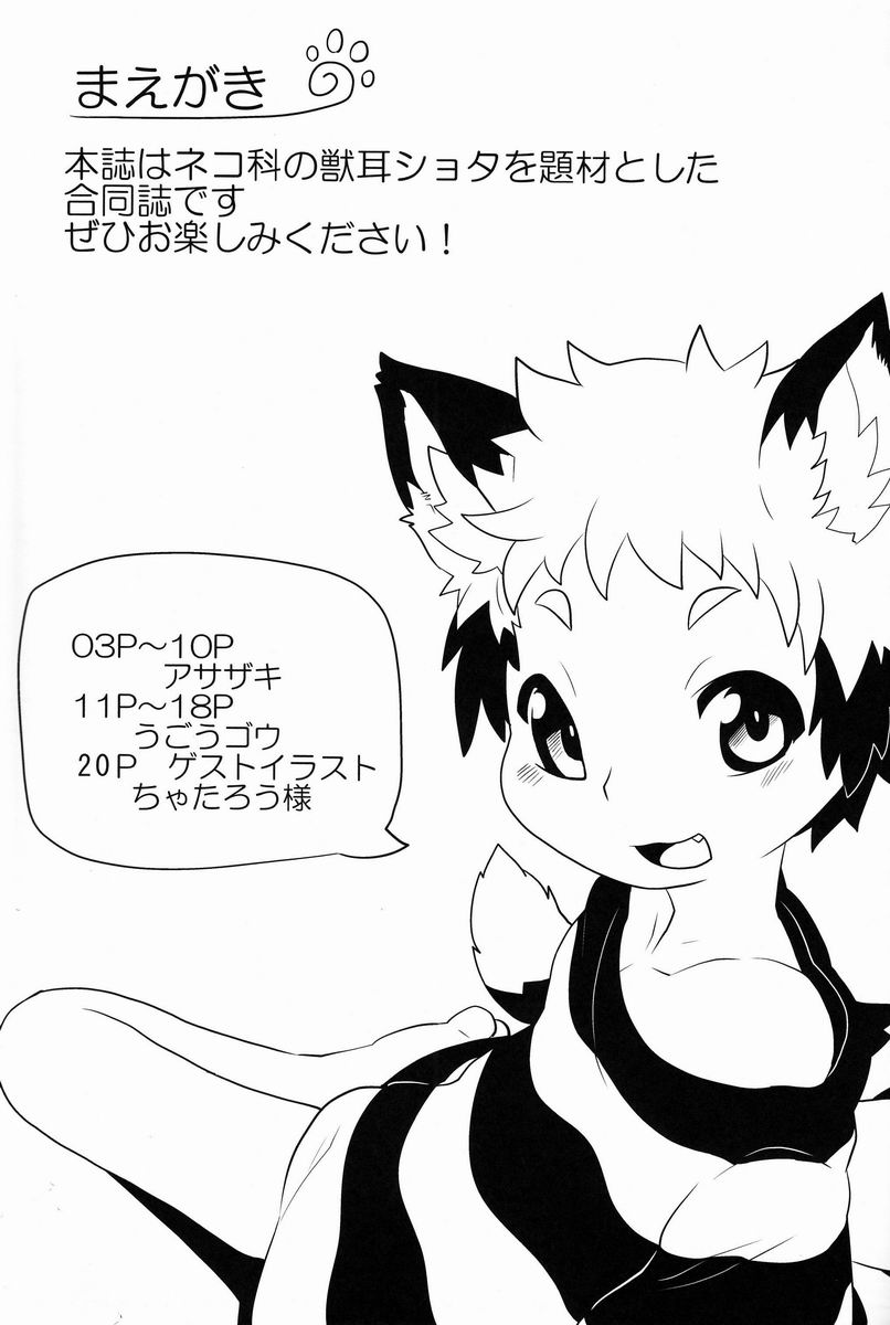 (ショタスクラッチ19) [イナカグラシ (アサザキ、うごうゴウ)] にゃんふぇす