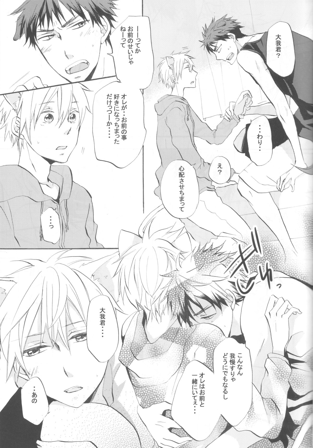 (CC福岡31) [AMAOh! (水稀たま)] CAT&DOG (黒子のバスケ)