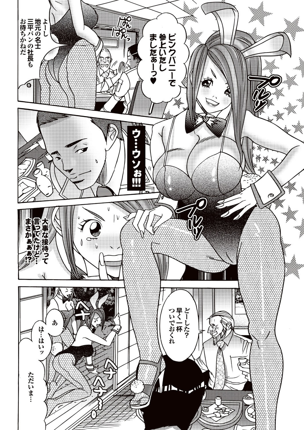 [雑誌] COMICプルメロ 2007年02月号 Vol.4 [DL版]
