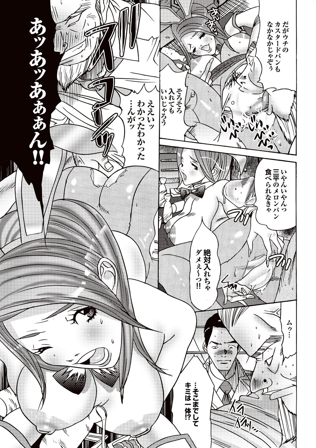 [雑誌] COMICプルメロ 2007年02月号 Vol.4 [DL版]