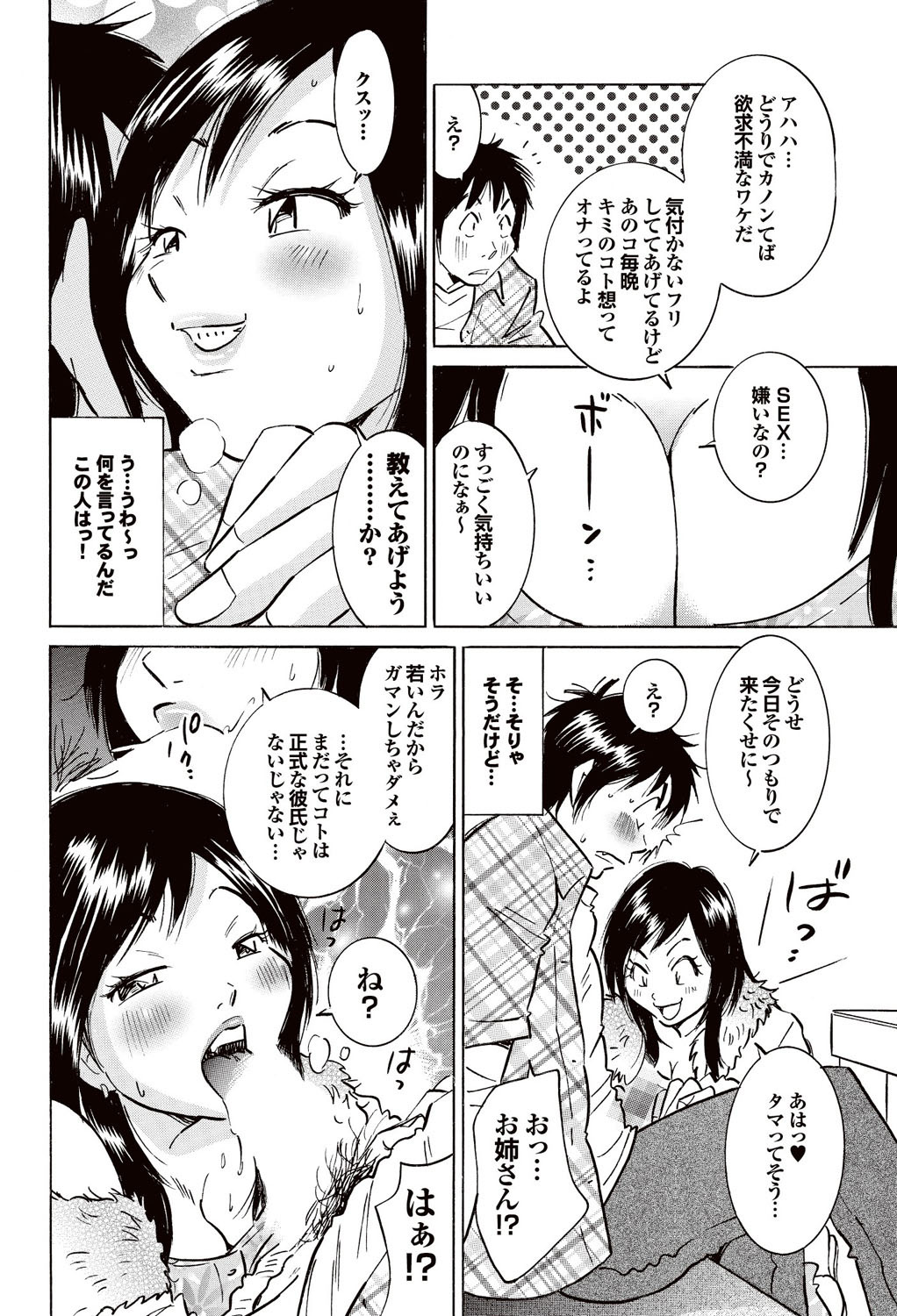 [雑誌] COMICプルメロ 2007年02月号 Vol.4 [DL版]